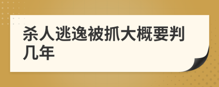 杀人逃逸被抓大概要判几年