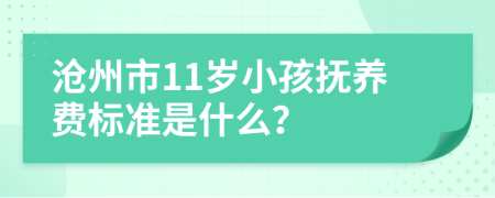 沧州市11岁小孩抚养费标准是什么？