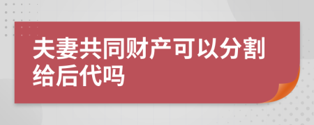 夫妻共同财产可以分割给后代吗