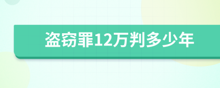 盗窃罪12万判多少年