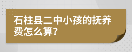 石柱县二中小孩的抚养费怎么算？