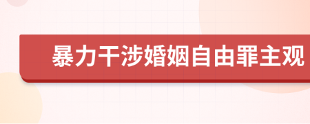 暴力干涉婚姻自由罪主观