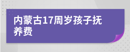 内蒙古17周岁孩子抚养费