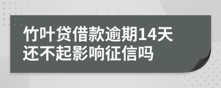 竹叶贷借款逾期14天还不起影响征信吗