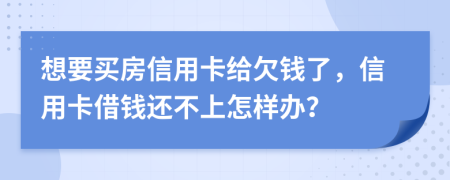 想要买房信用卡给欠钱了，信用卡借钱还不上怎样办？