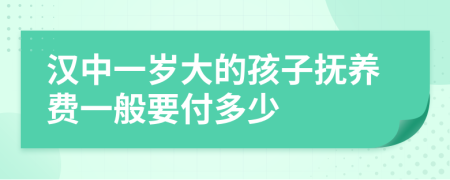 汉中一岁大的孩子抚养费一般要付多少