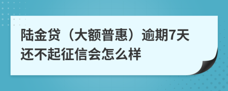 陆金贷（大额普惠）逾期7天还不起征信会怎么样