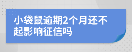 小袋鼠逾期2个月还不起影响征信吗