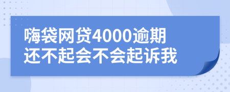 嗨袋网贷4000逾期还不起会不会起诉我