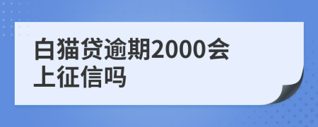 白猫贷逾期2000会上征信吗