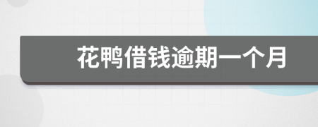 花鸭借钱逾期一个月