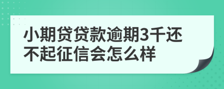 小期贷贷款逾期3千还不起征信会怎么样