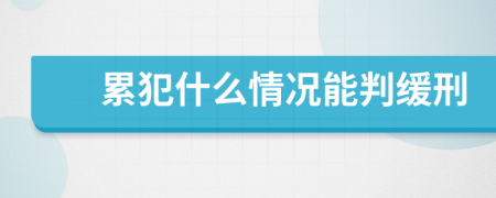 累犯什么情况能判缓刑