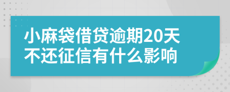 小麻袋借贷逾期20天不还征信有什么影响