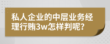 私人企业的中层业务经理行贿3w怎样判呢？