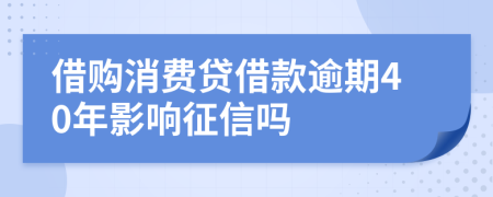 借购消费贷借款逾期40年影响征信吗