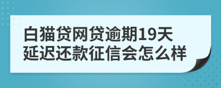 白猫贷网贷逾期19天延迟还款征信会怎么样