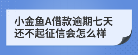 小金鱼A借款逾期七天还不起征信会怎么样