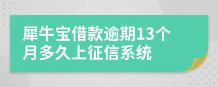 犀牛宝借款逾期13个月多久上征信系统