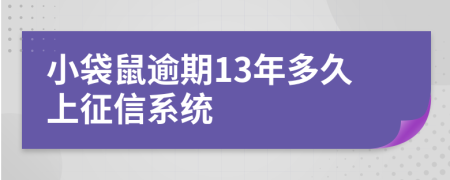 小袋鼠逾期13年多久上征信系统