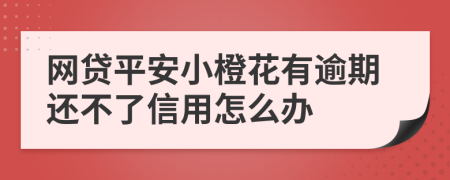 网贷平安小橙花有逾期还不了信用怎么办