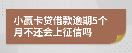 小赢卡贷借款逾期5个月不还会上征信吗