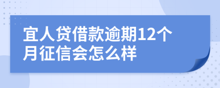 宜人贷借款逾期12个月征信会怎么样