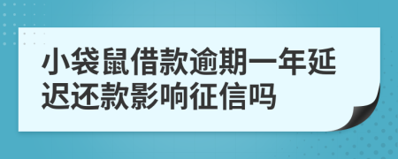 小袋鼠借款逾期一年延迟还款影响征信吗