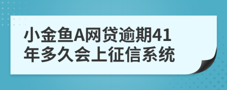 小金鱼A网贷逾期41年多久会上征信系统