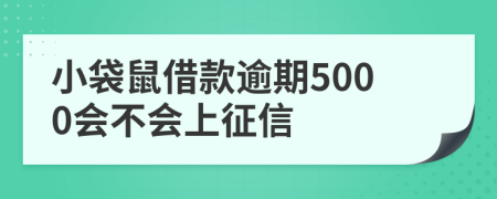 小袋鼠借款逾期5000会不会上征信