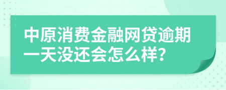 中原消费金融网贷逾期一天没还会怎么样？