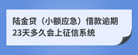 陆金贷（小额应急）借款逾期23天多久会上征信系统