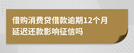 借购消费贷借款逾期12个月延迟还款影响征信吗