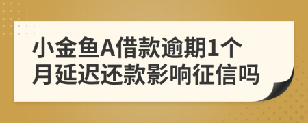 小金鱼A借款逾期1个月延迟还款影响征信吗