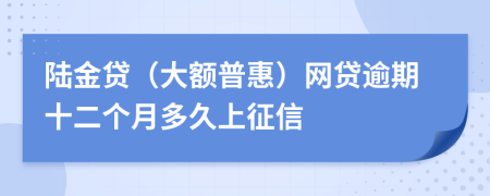 陆金贷（大额普惠）网贷逾期十二个月多久上征信