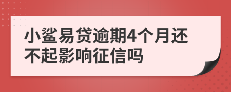 小鲨易贷逾期4个月还不起影响征信吗