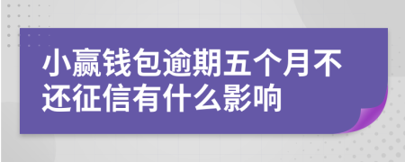 小赢钱包逾期五个月不还征信有什么影响