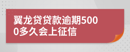 翼龙贷贷款逾期5000多久会上征信