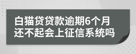 白猫贷贷款逾期6个月还不起会上征信系统吗