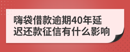 嗨袋借款逾期40年延迟还款征信有什么影响