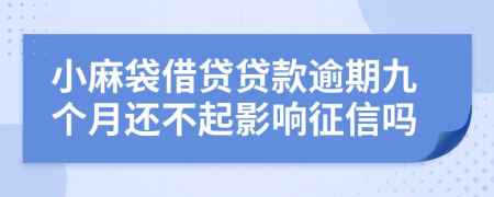 小麻袋借贷贷款逾期九个月还不起影响征信吗