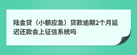 陆金贷（小额应急）贷款逾期2个月延迟还款会上征信系统吗