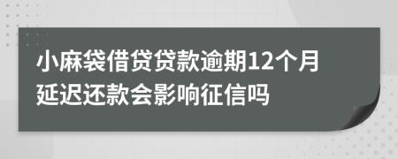 小麻袋借贷贷款逾期12个月延迟还款会影响征信吗