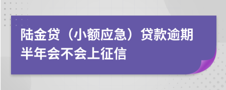 陆金贷（小额应急）贷款逾期半年会不会上征信