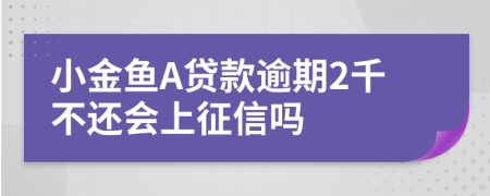 小金鱼A贷款逾期2千不还会上征信吗