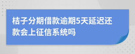 桔子分期借款逾期5天延迟还款会上征信系统吗
