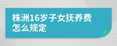 株洲16岁子女抚养费怎么规定