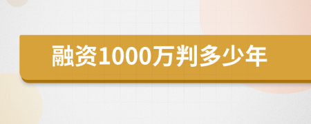 融资1000万判多少年