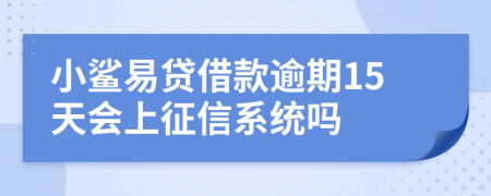 小鲨易贷借款逾期15天会上征信系统吗