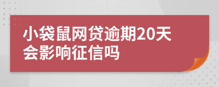 小袋鼠网贷逾期20天会影响征信吗